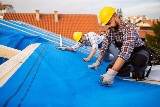 Best Roof Waterproofing Services  in Hokes Bluff, AL