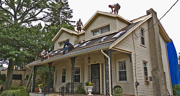 Professional Roofing Contractor in Hokes Bluff, AL