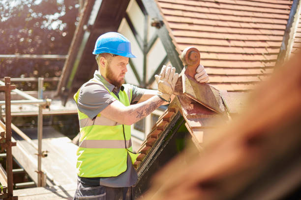 Best Roof Gutter Cleaning  in Hokes Bluff, AL