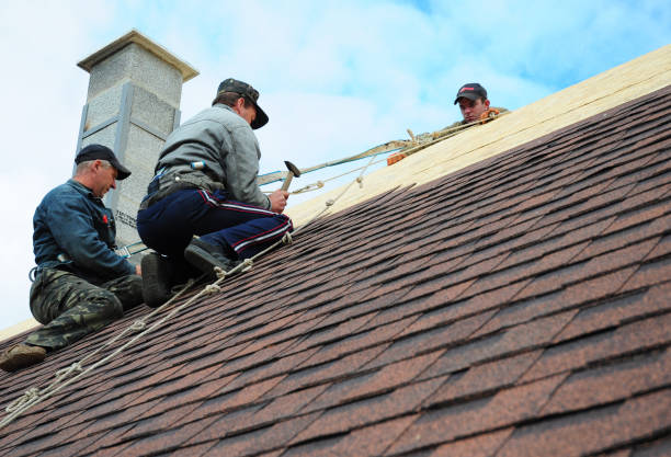 Best Roof Gutter Cleaning  in Hokes Bluff, AL