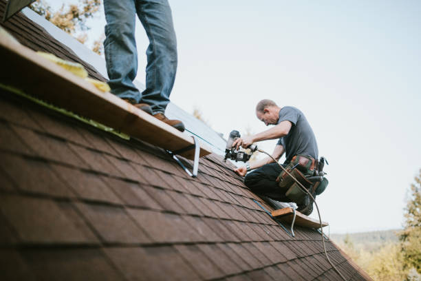 Best Local Roofing Companies  in Hokes Bluff, AL