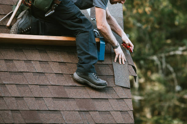 Best Gutter Installation and Roofing  in Hokes Bluff, AL