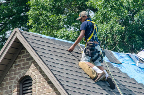 Best Shingle Roofing Installation  in Hokes Bluff, AL